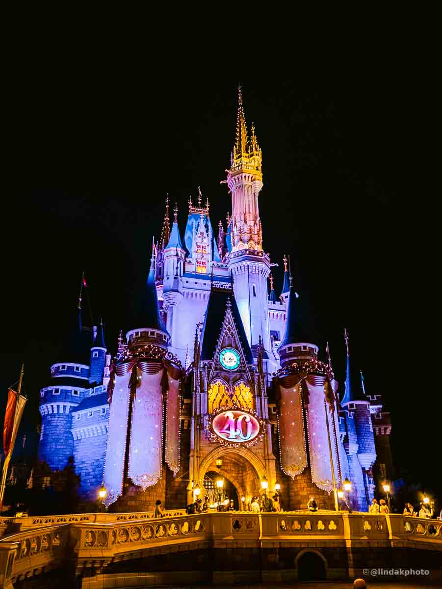 Disneyland tokyo night